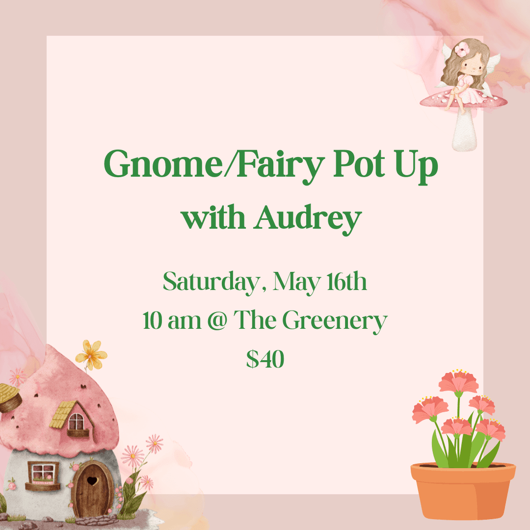 Gnome/Fairy Pot-Up with Audrey