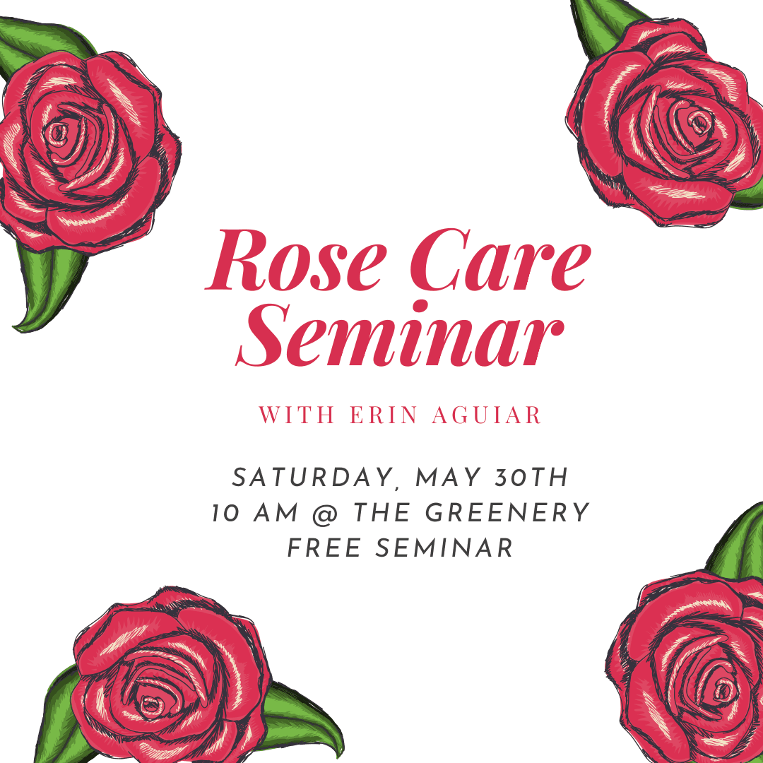 Rose Care Seminar with Erin Aguiar